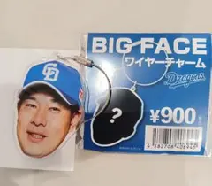 中日ドラゴンズ 堂上直倫 BIG FACE ワイヤーチャーム ドラゴンズガチャ
