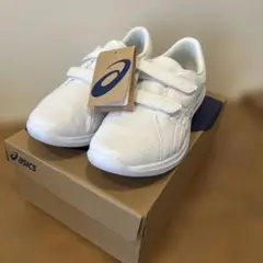 Item thumbnail for item 44bb0264-c58f-476d-8fc5-e3f27de7d2a3