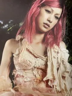 中島美嘉　写真童話集『samsara』　Bookまとめ売り Amazon.co.jp: 中島美嘉 写真童話集 SAMSARA: ミュージック
