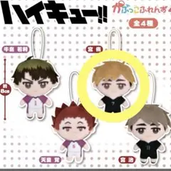 ハイキュー ガチャガチャ 宮侑