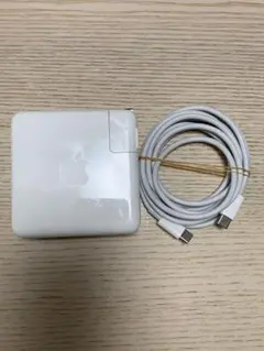 H22 Apple 純正品 USB-C 87W A1719 MacBook