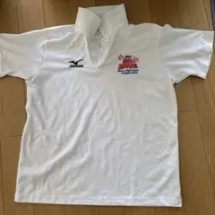 Mizuno 2013 ALL JAPAN バレーボールシャツ　サイズO
