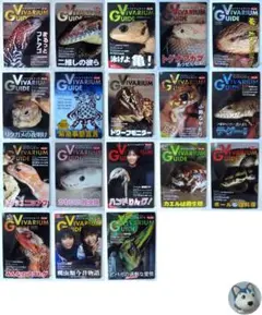 Item thumbnail for item 8d223ebb-680a-4bb9-9540-14c9af7f1d3b