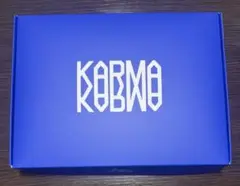 straykids スキズ アルバム KARMA 通常盤 開封済