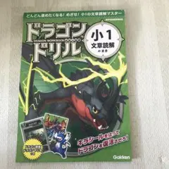 ドラゴン ドリル 小1 文章読解