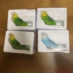 リトルフレンド リアルセキセイインコ リアルインコ 置物 4点セット