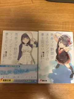 青春ブタ野郎シリーズ 2冊セット　10・11巻