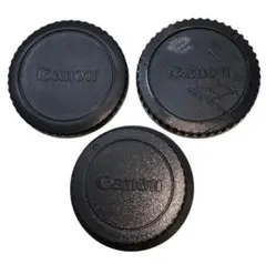 Item thumbnail for item 00008343-f406-4a67-af84-ec2d34b61a23