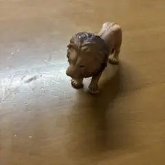 アニア　ライオン