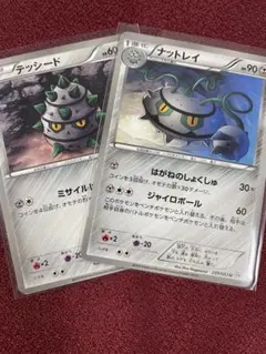 テッシード＆ナットレイ U BW1 ホワイトコレクション 039/053