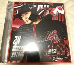 紅林弘太郎　ミニ色紙　夏の陣　オリックスバファローズ