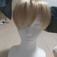 金髪 ウィッグ ショート
