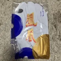 Item thumbnail for item e74b06cc-3482-422b-b346-6106a33d5b21