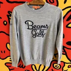 BEAMS GOLF ビームスゴルフ ニット セーター ブルー系 サイズM