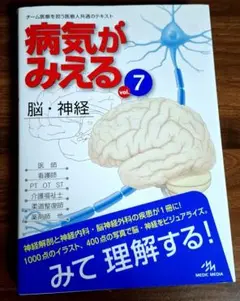 病気がみえる　脳・神経