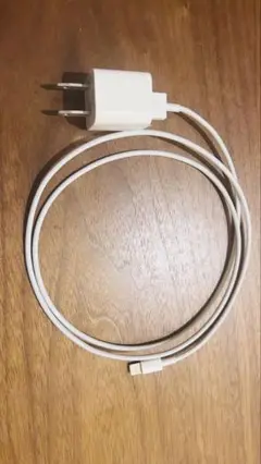 iPhone 純正 充電器