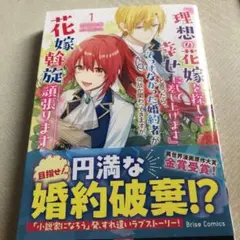 理想の花嫁を探して 1