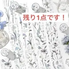 フラワータイミングシリーズ淡色花のPETマスキングテープ RT977