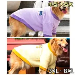 Item thumbnail for item b0dc55ce-3b0b-4651-bd60-2a349fa28264