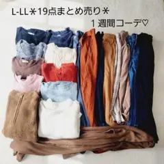 No.2010122*L-LLサイズ*19点まとめ売り*スローブイエナ、セポ他