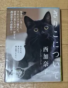 きりこについて