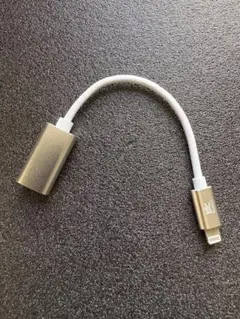 Roiciel　Lightning to USB転送明日