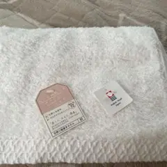 Item thumbnail for item 448967f2-d942-4c78-a9de-5207408ec157