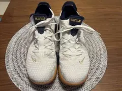 【期限有値下】NIKE LeBron 16 Low “Olympic” 26cm