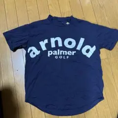 アーノルドパーマー ゴルフ レディース Lサイズ Tシャツ スポーツ