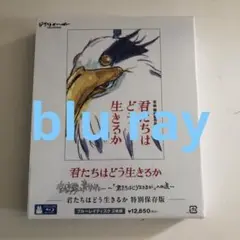 君たちはどう生きるか 特別保存版('23スタジオジブリ)〈2枚組〉