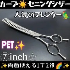 Item thumbnail for item b1da33ec-289e-43f7-8645-a1dec4314f39