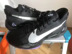 新品zoomズームfreakフリーク2アデトクンボJORDAN八村NBA