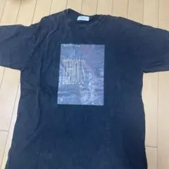 TEDIOUS Tシャツ Ffein Lサイズ