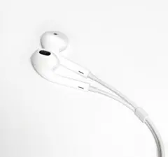 Apple EarPods Lightning Connector