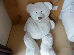 コストコ　クマぬいぐるみ