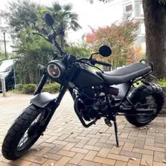 ベストセラー自動車・オートバイ - ヤマハ TW200 2JL-142 純正