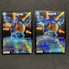 完全不明 2枚セット