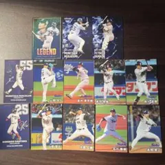 プロ野球チップス2025 2024ヤクルトセット