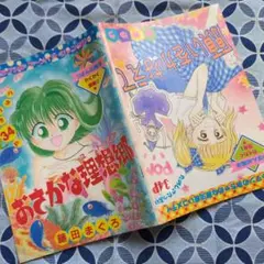 希少品☆りぼん 1995年 2月号