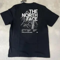 THE NORTH FACE グラフィックTシャツ Lサイズ ブラック