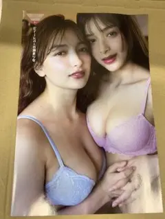 erica 百瀬まりな プレミアムミニブック