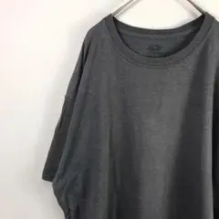 USA古着 フルーツオブザルーム fruit of the loom Tシャツ