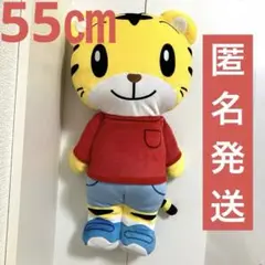 はぐはぐ しまじろう ぬいぐるみ ベネッセ しまじろうコンサート 0827