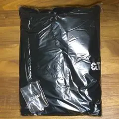 &TEAM OFFICIAL LOGO MERCH フーディー トレカ付き