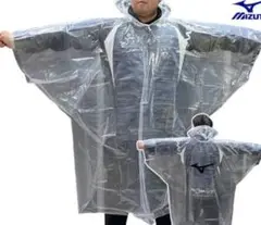 Item thumbnail for item b896c21c-2d53-4a90-b696-ef9969d2e091