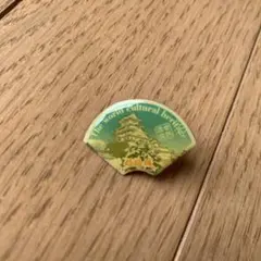 ご当地ピンズDX 姫路城　未使用品