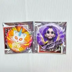 ミラキュラス レディバグ&シャノワール キティセクション 缶バッジ