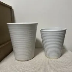 胡蝶蘭陶器鉢2個セット