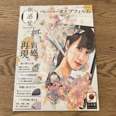 ベルモンド iPad mini 7 / mini 6 用 ペーパータイプ