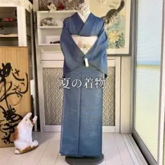 【夏用 着物 写真3枚目のお色が近し】